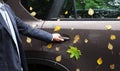 Hand holds car door handle, yellow autumn foliage and water drop Royalty Free Stock Photo