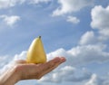 man hand holds a pear in the palm against a blue sky with clouds. Royalty Free Stock Photo