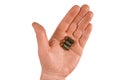 Man hand holds three bullets on an open palm. Isolated closeup on white background. Concept of crime investigation, ballistics or