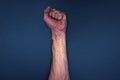 Man hand with large veins on a blue background. fist as a show of strength