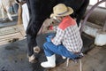 man hand milking a cow by hand, cow standing in the corral on dairy farm Asia Thailand