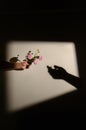 Man hand Offer Dog rose flower to a Woman Hand Shadow