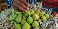 man hand picking pear fruit from the bunch Royalty Free Stock Photo