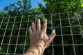 A hand rests against a metal mesh fence