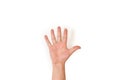 Man hand showing her palm and five fingers on a white background Royalty Free Stock Photo