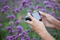 Man hand taking photo with compact camera Royalty Free Stock Photo