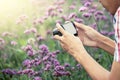 Man hand taking photo with compact camera in the flower garden Royalty Free Stock Photo