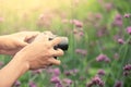 Man hand taking photo with compact camera in the flower garden Royalty Free Stock Photo