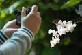 Man hand taking picture of butterfliy Royalty Free Stock Photo