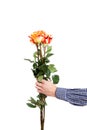 The man hand with three roses Royalty Free Stock Photo