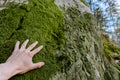 Man hand touching green moss growing in forest. Protect nature and save environment