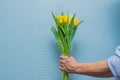 Man hand with yellow tulips bouquet on blue wall background. Springtime. Woman and mother day concept Royalty Free Stock Photo