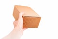 Man handing a small brown closed cardboard package, quick shipment delivery, transportation and product shipping concept Royalty Free Stock Photo