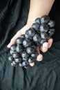 Man handpicking black grapes A citrus fruit Black cloth background