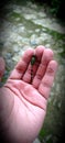 Man hands and beautiful dragonfly