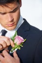 Man, hands or flower on wedding suit, tuxedo or jacket in marriage, love or event. Person, fashion and groom fixing pink Royalty Free Stock Photo