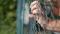 Man Hands Hanging in a Metallic Fence in a Protection Area