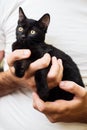 Man hands holding a black baby cat Royalty Free Stock Photo