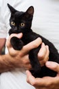 Man hands holding a black baby cat Royalty Free Stock Photo