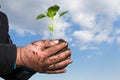 Man hands holding a green young plant. Symbol of spring and ecol Royalty Free Stock Photo