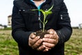 Man hands holding a green young plant. Symbol of spring and ecol Royalty Free Stock Photo