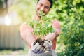 Man, hands and holding seedling in garden with growth, sustainability and leaves in summer sunshine. Guy, landscaping Royalty Free Stock Photo