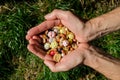 Man hands holds assorted nuts and dried fruits, healthy eating concept on grass background