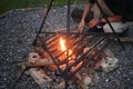 Young man hands making campfire in forest. Royalty Free Stock Photo