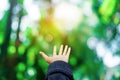 Man hands reach out to the forest green nature bokeh like praying and ask for something Royalty Free Stock Photo