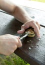 Man hands shucking oysters on picnic table Royalty Free Stock Photo