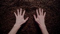 Man hands touching coffee seeds large heap close up. Agriculturist taking beans.