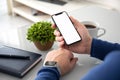 Man hands with watch holding phone with isolated screen Royalty Free Stock Photo