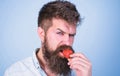 Man handsome strict face sexy hipster with long beard try strawberry. Gastronomic pleasure. Desire concept. Oral Royalty Free Stock Photo