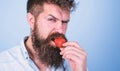 Man handsome strict face sexy hipster with long beard try strawberry. Hipster enjoy juicy ripe red strawberry. Man