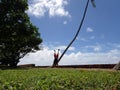 Man Handstanding in the grass along cliff shore next to shallow