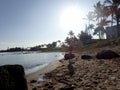 Man Handstands on beach in Kahului Harbor Royalty Free Stock Photo