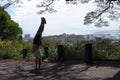 Man Handstands at Mountain lookout point above the City of Honolulu