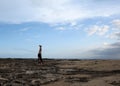 Man Handstands on shore rocks of Ko Olina