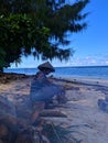 man harvesting coconuts on the beach on the island of Muor, North Maluku, Indonesia