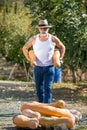 Man harvests big pumpkin from patch. Royalty Free Stock Photo