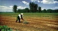 a man in a hat and overalls working in a field Royalty Free Stock Photo