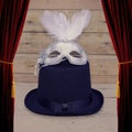 Man Hat and Woman Carnival Mask Royalty Free Stock Photo