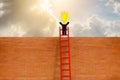 Man have idea standing on top of ladder over brick wall