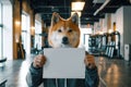 dog breed Akita inu