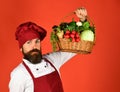 Man in healthy eating concept. Chef holds basket of vegetables Royalty Free Stock Photo