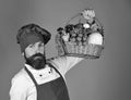 Man in healthy eating concept. Chef holds basket of vegetables Royalty Free Stock Photo