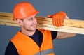 Man in helmet, hard hat and protective gloves holds wooden beam, grey background. Hardy labourer concept. Carpenter