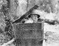 Man hiding himself in a basket Royalty Free Stock Photo