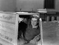 Man hiding in wooden crate Royalty Free Stock Photo