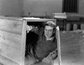 Man hiding in wooden crate Royalty Free Stock Photo